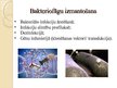 Presentations 'Bakteriofāgi', 13.