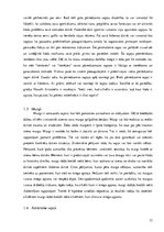 Research Papers 'Sapņi un to interpretācija', 12.