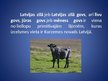 Presentations 'Latvijas zilā govs', 2.