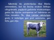 Presentations 'Latvijas zilā govs', 7.