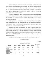Research Papers 'SIA "Velve-AE" finanšu analīze', 13.