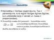 Presentations 'Ģeometriskie pārveidojumi, pagrieziens, homotētija', 9.