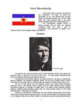 Research Papers 'Serbu Projekts "Dienvidslāvija"', 7.