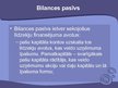 Presentations 'Grāmatvedība, bilance un darba ražīgums', 14.