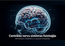 Presentations 'Centrālās nervu sistēmas fizioloģija', 1.