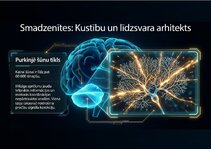 Presentations 'Centrālās nervu sistēmas fizioloģija', 9.