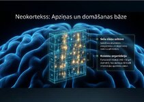 Presentations 'Centrālās nervu sistēmas fizioloģija', 12.