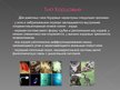 Presentations 'Животные и их систематика', 12.