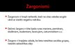 Research Papers 'Neliterāra leksika. Žargonismi un barbarismi', 3.