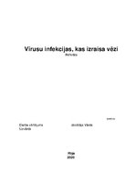 Research Papers 'Vīrusu infekcijas, kas izraisa vēzi', 1.