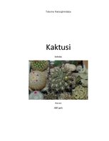 Research Papers 'Kaktusi', 1.