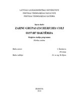 Summaries, Notes 'Zarnu grupas Escherichia coli O157:H7 baktērija', 1.