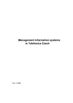Research Papers 'Management Information Systems in "Telefonica Czech"', 1.