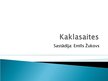 Presentations 'Kaklasaite', 1.