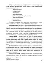 Essays 'Vadītāja eksperta un arbitra - vidutāja funkcijas', 4.