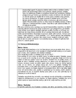 Practice Reports 'Prakses atskaite - 3. vec.posms. pirmā prakse', 3.