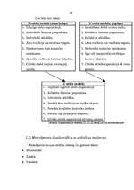 Research Papers 'Radiosakaru pārvaldes organizācijas menedžmenta procesa analīze', 18.