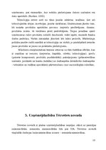 Research Papers 'Uzņēmējdarbības vide Tērvetes novadā', 19.