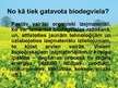 Presentations 'Biodegviela', 3.