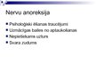 Presentations 'Anoreksija', 2.