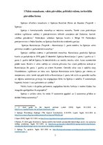 Research Papers 'Spānijas valsts varas dalīšanas sistēma', 3.