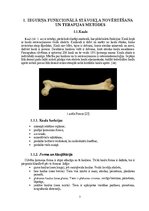 Term Papers 'Astes kaula asimetrijas ietekme uz iegurņa  funkcionālo stāvokli', 7.