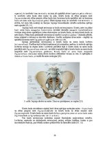 Term Papers 'Astes kaula asimetrijas ietekme uz iegurņa  funkcionālo stāvokli', 10.
