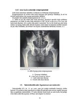 Term Papers 'Astes kaula asimetrijas ietekme uz iegurņa  funkcionālo stāvokli', 18.