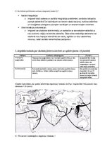 Summaries, Notes 'Pasaules apdzīvotība un urbanizācija', 4.