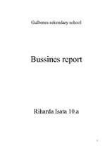 Business Plans 'Business Report', 1.