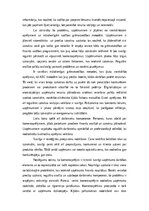 Essays 'Problēmjautājumi komercaprēķinos', 2.