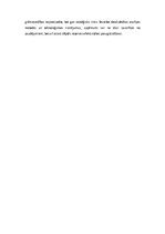 Essays 'Problēmjautājumi komercaprēķinos', 3.