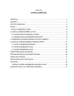 Research Papers 'Sociālās uzņēmējdarbības izaicinājumi Latvijā', 2.