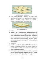 Term Papers 'CO2 izmešu salīdzinājums CLT un dzelzsbetona pārseguma un sienu paneļu ražošanai', 20.