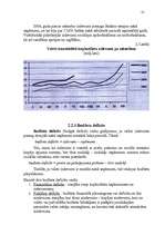 Research Papers 'Valsts finanšu sistēma un finanšu politika', 20.