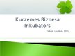 Research Papers 'Kurzemes Biznesa inkubators kā risinājums jauno uzņēmumu problēmām', 14.