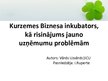 Research Papers 'Kurzemes Biznesa inkubators kā risinājums jauno uzņēmumu problēmām', 23.