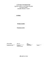 Essays 'Rotaļu analīze', 1.