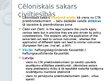Presentations 'Cēloniskais sakars kā civiltiesiskās atbildības priekšnoteikums', 5.
