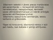 Presentations 'Reliģija un filosofija - džainisms', 6.
