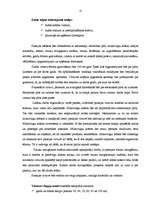 Research Papers 'Pansijas "Saulrieti" izveides un attīstības plāns ', 15.