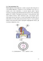 Term Papers 'Dīzeļmotora barošanas sistēma ar elektriski vadāmu augstspiediena sūkni', 14.