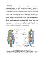 Term Papers 'Dīzeļmotora barošanas sistēma ar elektriski vadāmu augstspiediena sūkni', 21.
