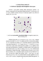 Term Papers 'Staphylococcus aureus. Rezistence pret antimikrobajām vielām', 9.