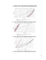 Summaries, Notes 'Koka sijas izkārtojuma fragmenta statiska pārbaude', 11.