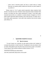 Research Papers 'Izplatītākās basketbola traumas un izvairīšanās no tām', 14.