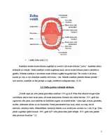 Research Papers 'Zobu pastas ietekme uz mutes dobumu', 5.