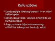Presentations 'Kallu dzimta', 4.