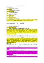 Summaries, Notes 'Ellena Ferrante "Brīnišķīgā draudzene"', 1.