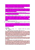 Summaries, Notes 'Ellena Ferrante "Brīnišķīgā draudzene"', 2.